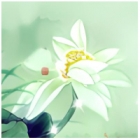 清雅微妙、淡泊深远... —— 雅铭居士